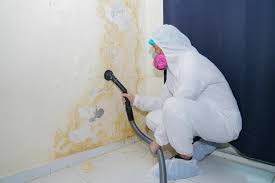 Best Crawl Space Mold Remediation  in Stratford, CA